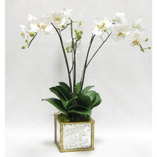 Load image into Gallery viewer, [WSPS-GAM-ORGR3] Wooden Square Container Small - Gold Antique w/ Antique Mirror &amp; Medallion - White &amp; Green Orchid Artificial