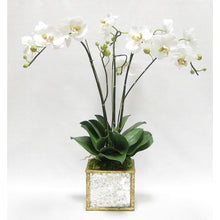 Load image into Gallery viewer, Wooden Square Container Small - Gold Antique w/ Antique Mirror &amp; Medallion - White &amp; Green Orchid Artificial