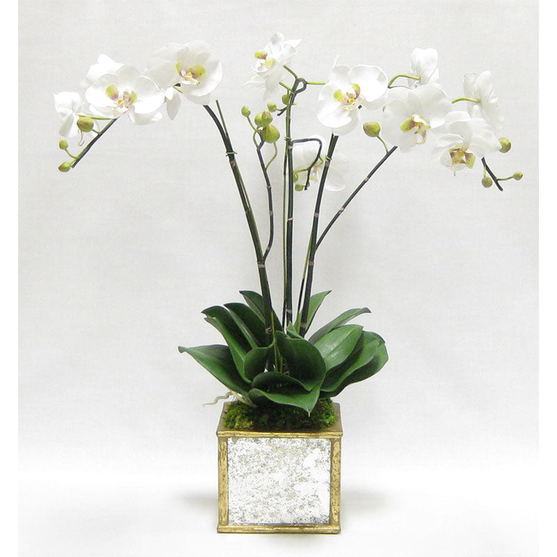 Wooden Square Container Small - Gold Antique w/ Antique Mirror & Medallion - White & Green Orchid Artificial