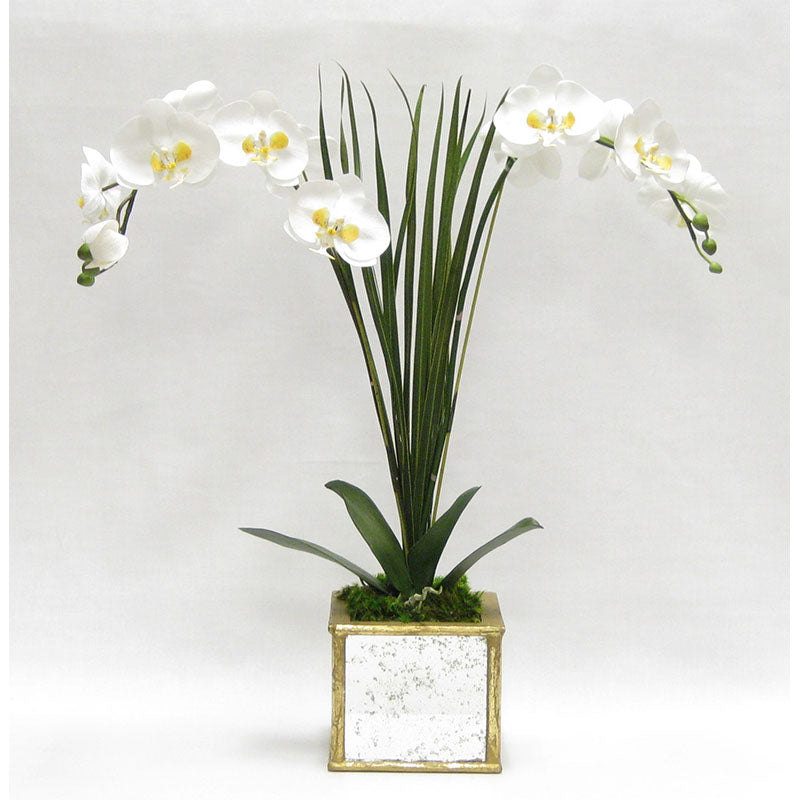 Wooden Square Mirrored Container Gold Antique - White & Yellow Double Orchid Artificial with Natural Palm