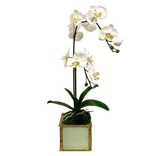Wooden Square Container Grey Green- White & Yellow Double Orchid Artificial