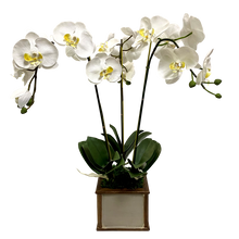 Load image into Gallery viewer, Wooden Square Container Bronze Patina - - White &amp; Yellow Orchid Artificial