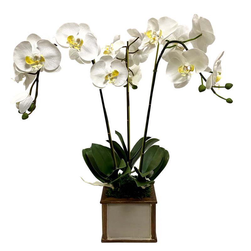 Wooden Square Container Bronze Patina - - White & Yellow Orchid Artificial