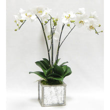 Load image into Gallery viewer, [WSPS-SAM-ORGR3] Wooden Square Planter Small - Silver Antique w/ Antique Mirror &amp; Medallion - White &amp; Green Orchid Artificial