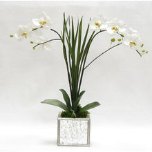Load image into Gallery viewer, Wooden Square Mirrored Container Silver Antique - White &amp; Green Double Orchid Artificial with Natural Palm