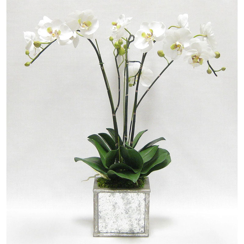 Wooden Square Planter Small - Silver Antique w/ Antique Mirror & Medallion - White & Green Orchid Artificial
