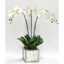 Load image into Gallery viewer, [WSPS-SAM-ORYE3] Wooden Square Planter Small - Silver Antique w/ Antique Mirror &amp; Medallion - White &amp; Yellow Orchid Artificial