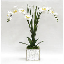 Load image into Gallery viewer, Wooden Square Mirrored Container Silver Antique - White &amp; Yellow Double Orchid Artificial with Natural Palm