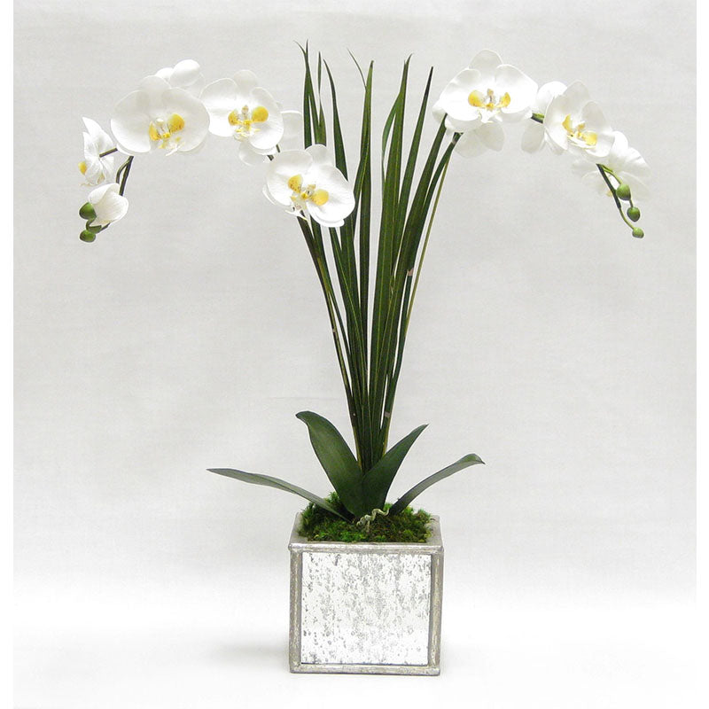 Wooden Square Mirrored Container Silver Antique - White & Yellow Double Orchid Artificial with Natural Palm