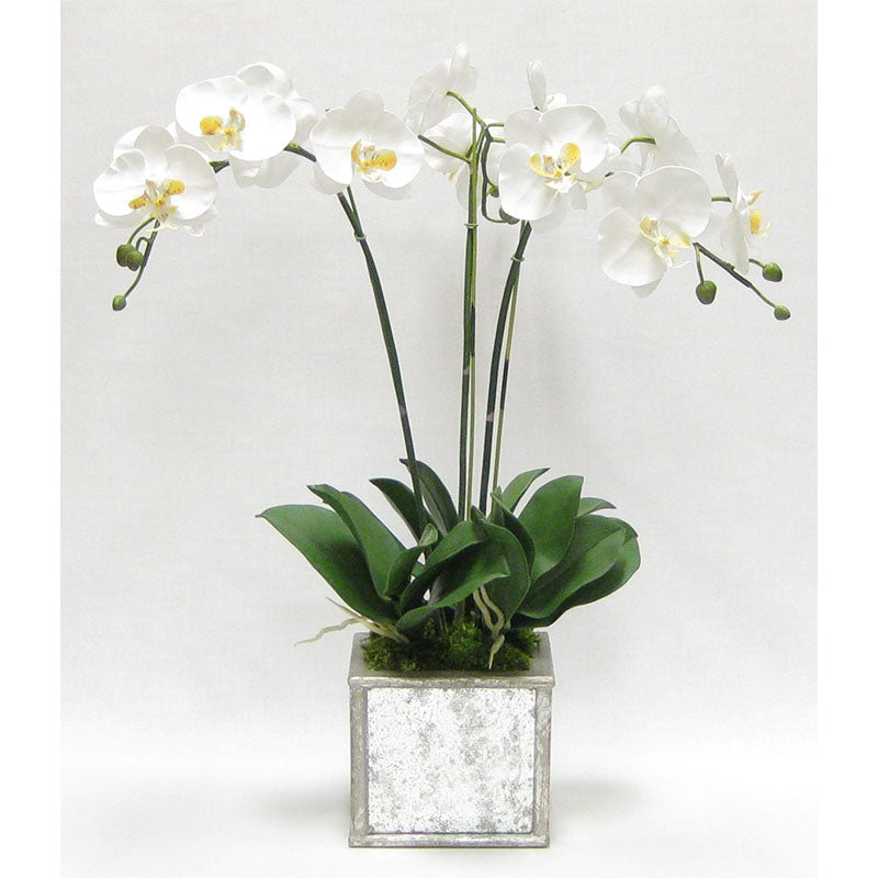 Wooden Square Planter Small - Silver Antique w/ Antique Mirror & Medallion - White & Yellow Orchid Artificial