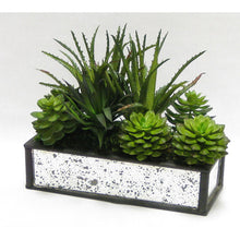 Load image into Gallery viewer, [WSRPS-BAM-SUGRN] Wooden Short Rect Black Small w/ Antique Mirror Container  - Succulents Green Artificial