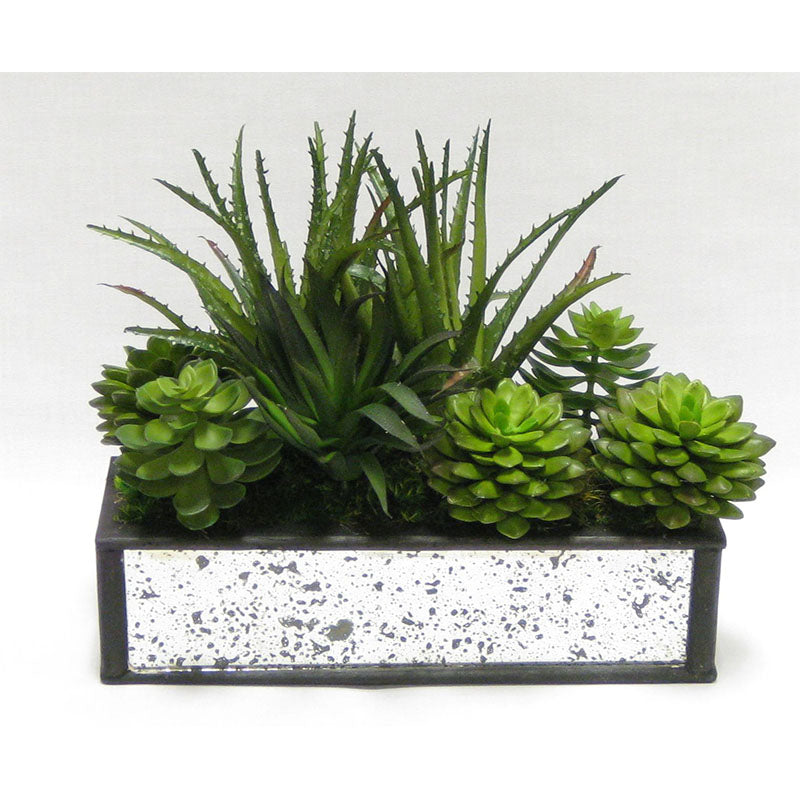 Wooden Short Rect Black Small w/ Antique Mirror Container  - Succulents Green Artificial