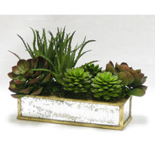 Load image into Gallery viewer, [WSRPS-GAM-SUBG] Wooden Short Rect.Container Small Gold Antique w/ Antique Mirror - Succulents Green &amp; Burgundy Artificial
