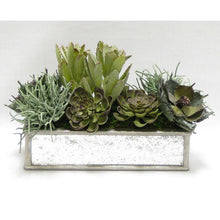 Load image into Gallery viewer, Wooden Short Rect Container Antique Silver w/ Antique Mirror - Succulents Sage Artificial

