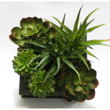Load image into Gallery viewer, [WSSP-BA-SUBG] Wooden Short Square Container Black Antique - Succulents Green &amp; Burgundy Artificial
