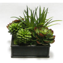 Load image into Gallery viewer, Wooden Short Square Container Black Antique - Succulents Green &amp; Burgundy Artificial