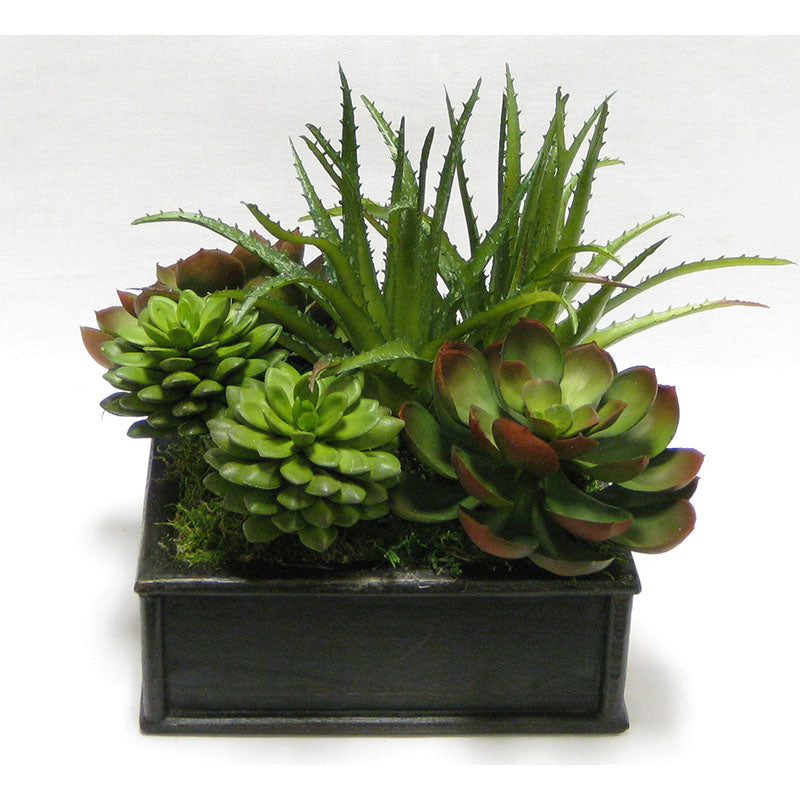 Wooden Short Square Container Black Antique - Succulents Green & Burgundy Artificial