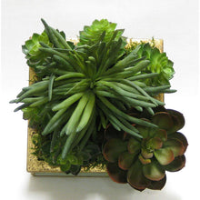 Load image into Gallery viewer, [WSSP-GG-SUGR] Wooden Short Square Container Gray Green w/ Gold - Succulents Green Artificial