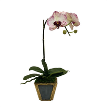 Load image into Gallery viewer, Wooden Small Container Dark Grey Blue &amp; Gold - White &amp; Purple Orchid Artificial
