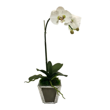 Load image into Gallery viewer, Wooden Small Container Dark Grey &amp; Silver - White &amp; Green Orchid Artificial