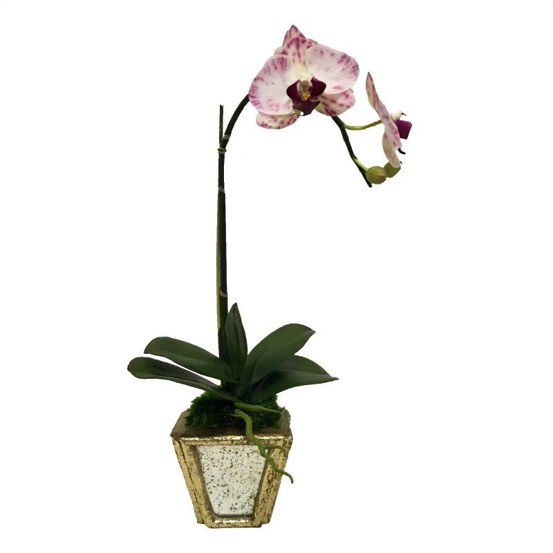 Wooden Small Container Gold w/ Antique Mirror- White & Purple Orchid Artificial