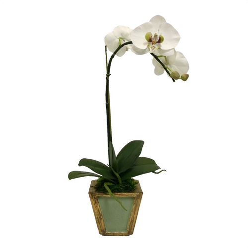 Wooden Small Container Grey Green & Gold - White & Green Orchid Artificial