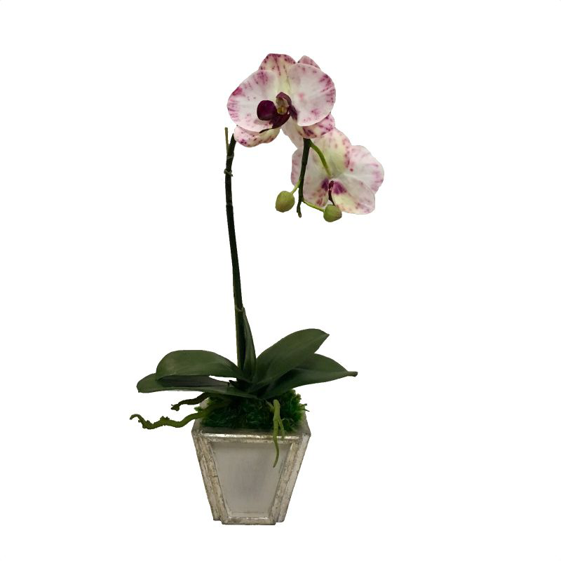 Wooden Small Container Grey & Silver - White & Purple Orchid Artificial