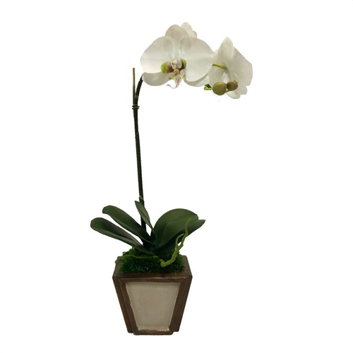 Wooden Small Container Patina Distressed & Bronze - White & Green Orchid Artificial